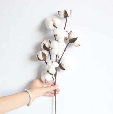 10 Natural Cotton Branch Artificial Flowers