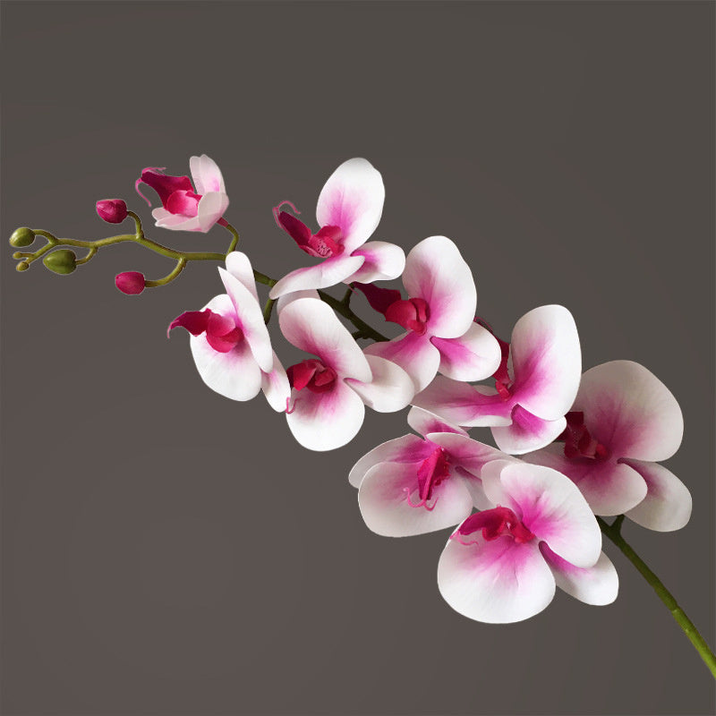 Artificial Flower Film Phalaenopsis Nine Heads Single Branch Artificial Flower Feel Chinese Home Living Room Decoration Flower Arrangement